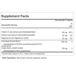 ANDREW LESSMAN Pine Bark OPC Anti-Oxidant Extracts 60 Capsules - Supports Tissues and Organ Systems to Neutralize Damaging Free-Radicals, Proanthocyanidins, Powerful Anti-oxidant, No Additives