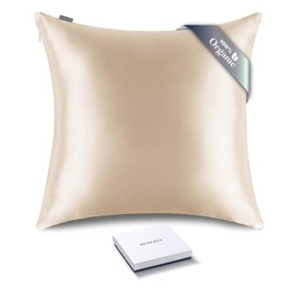 RENESSY Organic Silk Pillowcase 60 x 60 cm - 100% Organic Mulberry Silk, 22 Momme, Naturally Hypoallergenic, Promotes Hair and Skin Health, 1 Piece (Champagne)