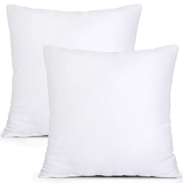 MIULEE Set of 2 Throw Pillow Inserts Premium Pillow Stuffer