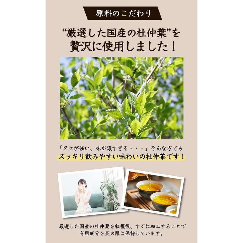 Natural Feast Du Zhong Tea Bags Made in Japan Caffeinated