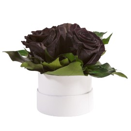 ROSEMARIE SCHULZ Heidelberg Infinity Rose Box White Round Preserved Flowers Black - 3 Infinity Roses Diameter 15 cm - Gift Ideas for Women (Black, Medium)