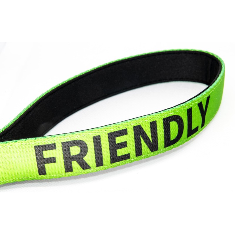Friendly Dog Lead - Green, Durable & Padded Handle -