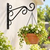 Iron Wall Plant Hanger Hooks for Hanging Flower Pots –