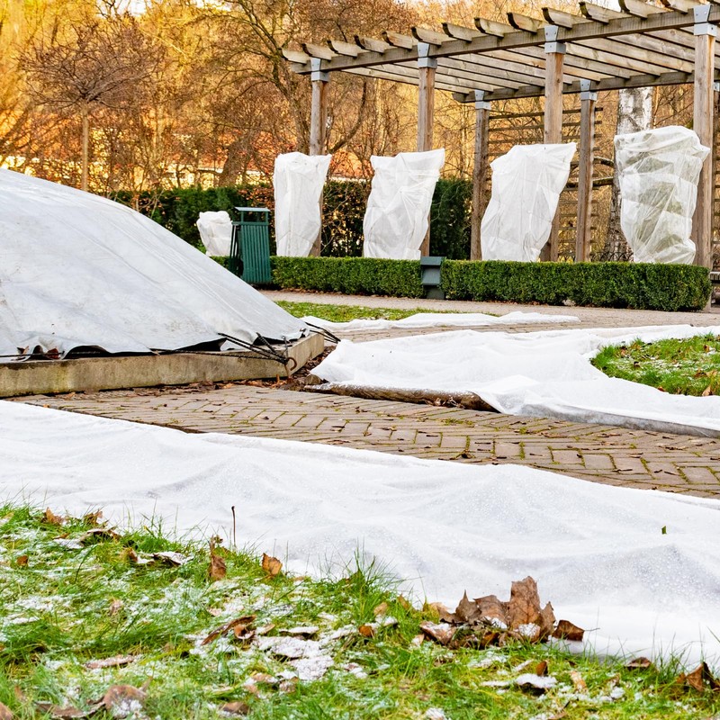 Liengoron 2PCS 10 Ft x 50 Ft Plant Covers Freeze