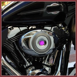 HEROFFIX 1 Set Screw Cap Motorcycle Motorbike Screw Nut Bolt Cap Cover Decoration for Kawasaki for Honda Purple Vehicle Components Replace Parts