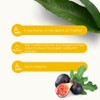 Lemuria - FICUS CARICA - For better digestion - Total