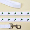 'Fresh Beetroot' Dog Lead/Leash (DL00008099)
