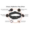 Reflective Dog Collar and Leash Set - Adjustable Collar with