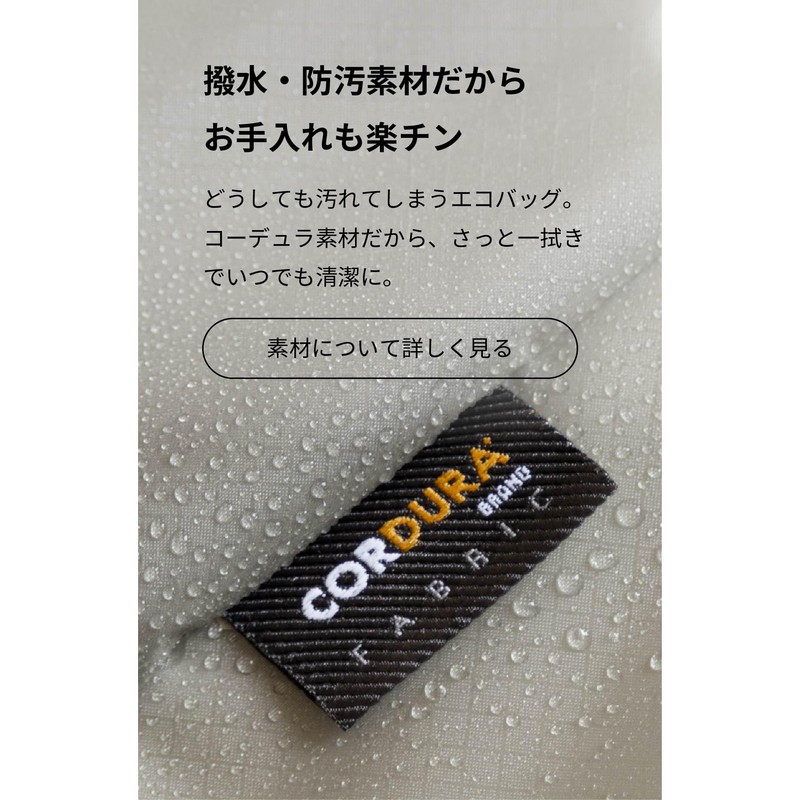 Asobose Regile 2 Eco Bag, Foldable, Waterproof, Made in Japan,