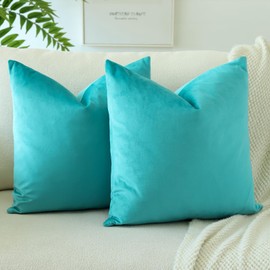 JOTOM Velvet Cushion Cover, Sofa Cushion Cover, Decorative Cushion Covers for Sofa, Living Room, Bedroom, Set of 2, 40 x 40 cm, Turquoise