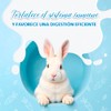 Fancy Pets Red Kite Sustituto de Leche para Conejos y