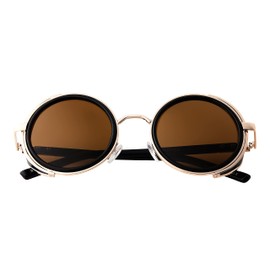 Ultra Gold and Brown Lenses Steampunk Sunglasses Round Glasses Steampunk Goggles Rave Glasses Steam Punk Men or Womens Steampunk Round Sunglasses Cyber Circular