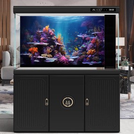 Underwater Aquarium Background Vibrant Coral Reef and Tropical Fish Groups Sunbeams Terrarium Background Decorations Ocean Waters Fish Tank Backdrop Poster Wallpaper Decorations Vinyl 24x16in