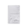 Pro Goleem Baby Soft Minky Dot Blanket with Silky Satin
