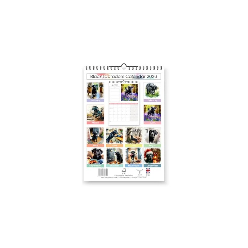 Black Labradors 2026 Yearly Wall Hanging Calendar - Splash Effect