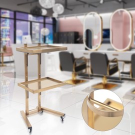 Salon Tray Cart with Storage Platform, 2 Tier Trolley Cart with Wheels, Rolling Storage Utility Cart for Beauty, Tattoo Supplies, Salon Equipment, Gold