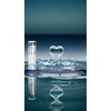 Honwor 2 Pcs Sterile Airless Pump Bottle 1 oz Refillable