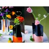 BLOFLO Collapsible Flower Vase, Foldable Vase, Expandable Vase, Plastic Flower