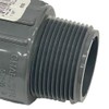 Charlotte Pipe 1-1/4 Sch80 MPT Adapter