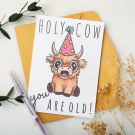 Wasise Highland Cow Birthday Card - Funny Highland Cow Birthday Cards, Humorous Scottish Animal Card With Envelope, Valentine Cards, Funny Cute design gifts for women friend Daughter Sister Teacher
