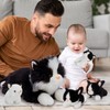 Tezituor 5Pcs Cat Stuffed Animals Set, 20 inch Large Realistic