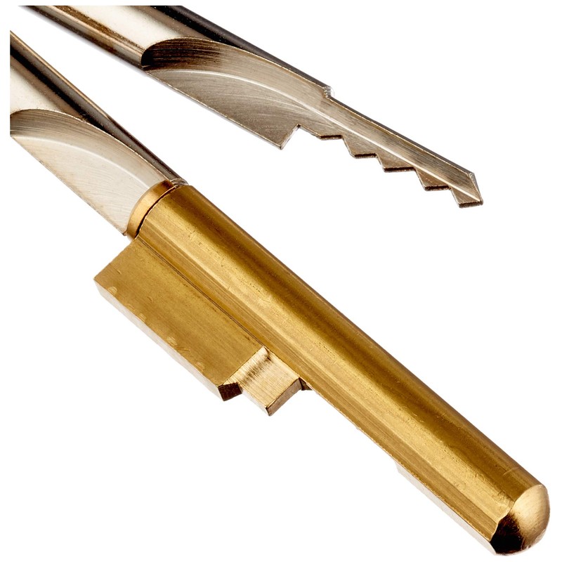 Burg Wächter E 6 Keys, Verschiedensperrend with 2 Keys