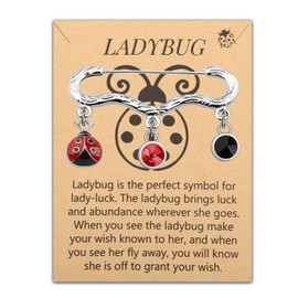 PLITI Ladybug Lover Gift Good Luck Ladybug Gift Entomologist Gift Red Ladybug Brooch Pin For Animal Lover (Ladybug Symbol broochCA)