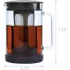 Primula Pace Cold Brew Iced Coffee Maker with Durable Glass