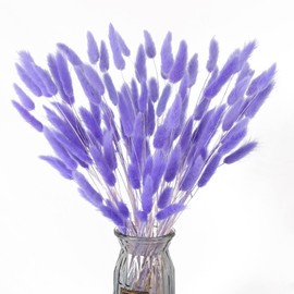 XHXSTORE 120pcs Bunny Tails Dried Flowers Purple Dried Flowers Bulk Mini Pampas Grass Dried Floral for Home Wedding Flower Arrangement DIY Craft Decor (16")