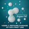 OGX, Shampoo Renovador de Aceite de Argán, Ingredientes Botánicos, Tamaño