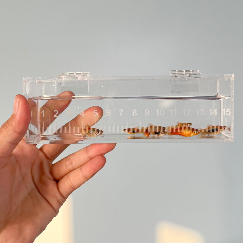Fish Viewing Box Container with Lid and Scale, Acrylic Portable