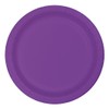 Creative Converting Disposable Amethyst Lunch Plate, Party Supplies,7", 20ct