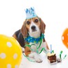 APAEAT Half Birthday Hat Blue Crown Hat Party Hat Crown