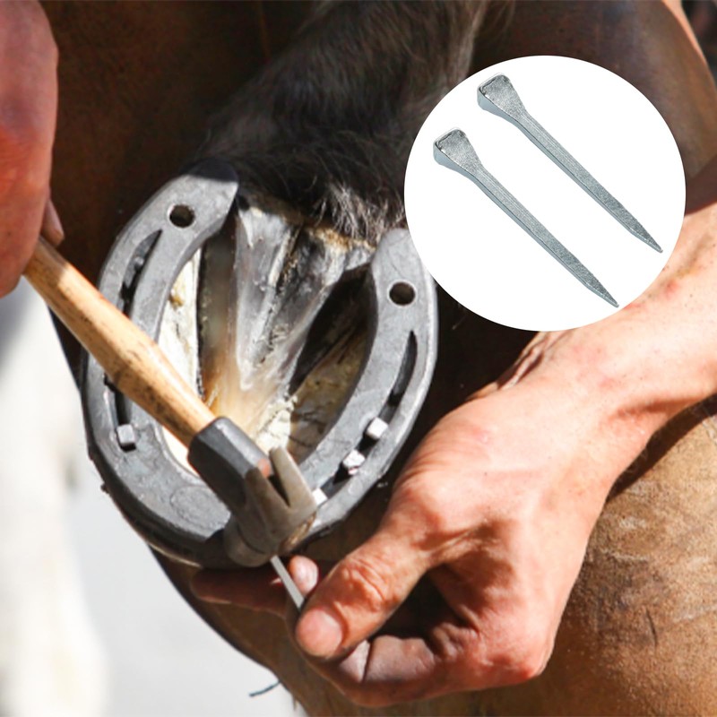 Pocoxll 50 Pcs E6 Horseshoe Nails, Low-Carbon Steel Horseshoe Nails