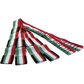 Forearm Forklift 2-Person Lifting and Moving Straps; Lift, Move and Carry Furniture, Appliances, Mattresses or Any Item up to 800 lbs. Safely and Easily Like a Pro, Viva Mexico Special Edition