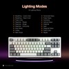 TECWARE Phantom+ Elite 87 Key RGB Mechanical Gaming Keyboard, LED