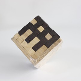 Oostifun Gobus 54 Pieces T Shape Wooden Building Blocks Puzzle Geometric Intelligence Educational Toy, Wood/Black Colour