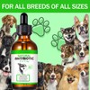 Antibiotics for Dogs, Natural Dog Antibiotics Drops, 60ml