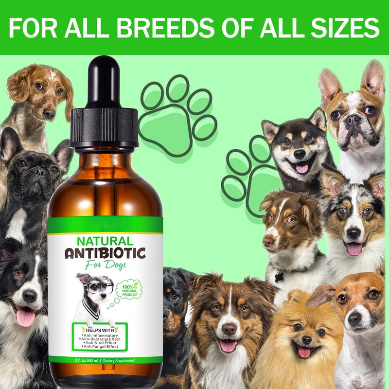 Antibiotics for Dogs, Natural Dog Antibiotics Drops, 60ml