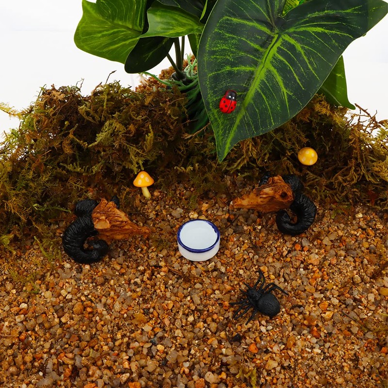 6 Pcs Spider Micro Water Bowl Mini Ceramic Dish for