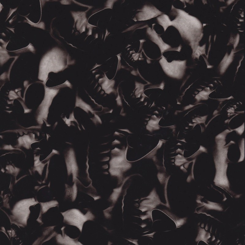 Dip Ape hydrographic film / activator Transparent Skull Shadows hydro