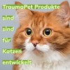 TraumaPet Ear Drops Colloidal Silver for Dogs and Cats 50