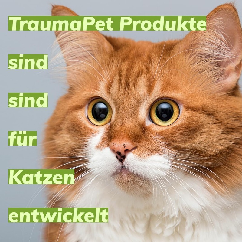 TraumaPet Ear Drops Colloidal Silver for Dogs and Cats 50