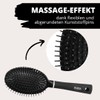 PARSA Beauty Hair Brush, Oval Allround Hair Styling Brush with