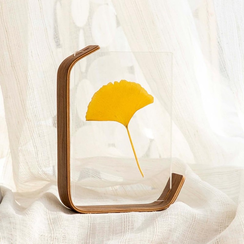 Elqater 8 Inch DIY Acrylic Wooden Photo Frame Herbarium Display