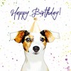 Jack Russell Birthday Card - Party Hat