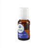 CARICIA AROMÁTICA — Concentrado de Aceites Esenciales STABILITY 10 ml