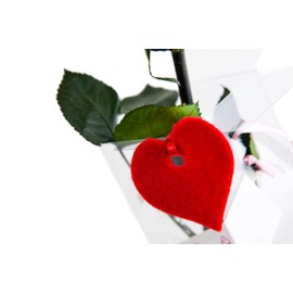 Rosen-Te-Amo | Infinity Rose am Stiel - Rosenduft |Echte Rose "Valentine Edition" in Geschenkbox |Geburtstagsgeschenk für Frauen|Konservierte Blume zum Weihnachten, Valentinstag, Mama, Dekogeschenk