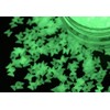 Spooky Glow in The Dark Nail Art Sequins Glitter 2g