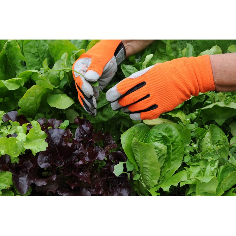 Donkey Gloves | Multipurpose Gloves for Gardening, DIY, House Work,